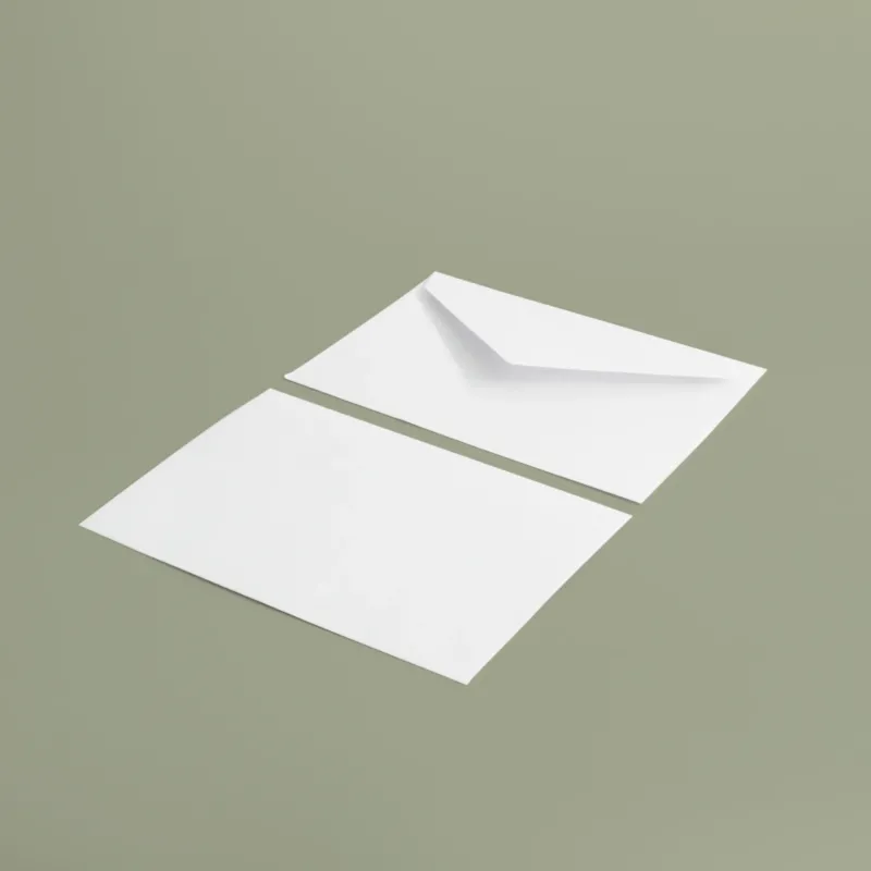 Buste 18x12 cm - bianco