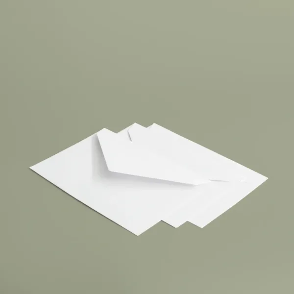 Buste 18x12 cm - bianco 2