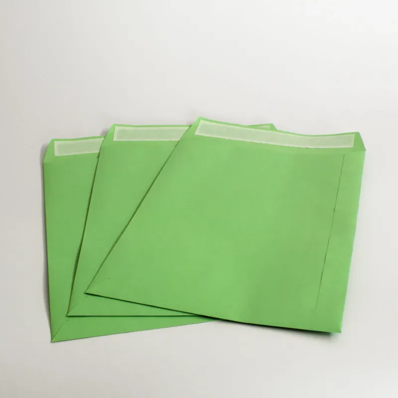 Buste a sacco 19x26 cm - verde