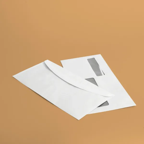 Buste doppia finestra 23x11,5 cm - bianco 2