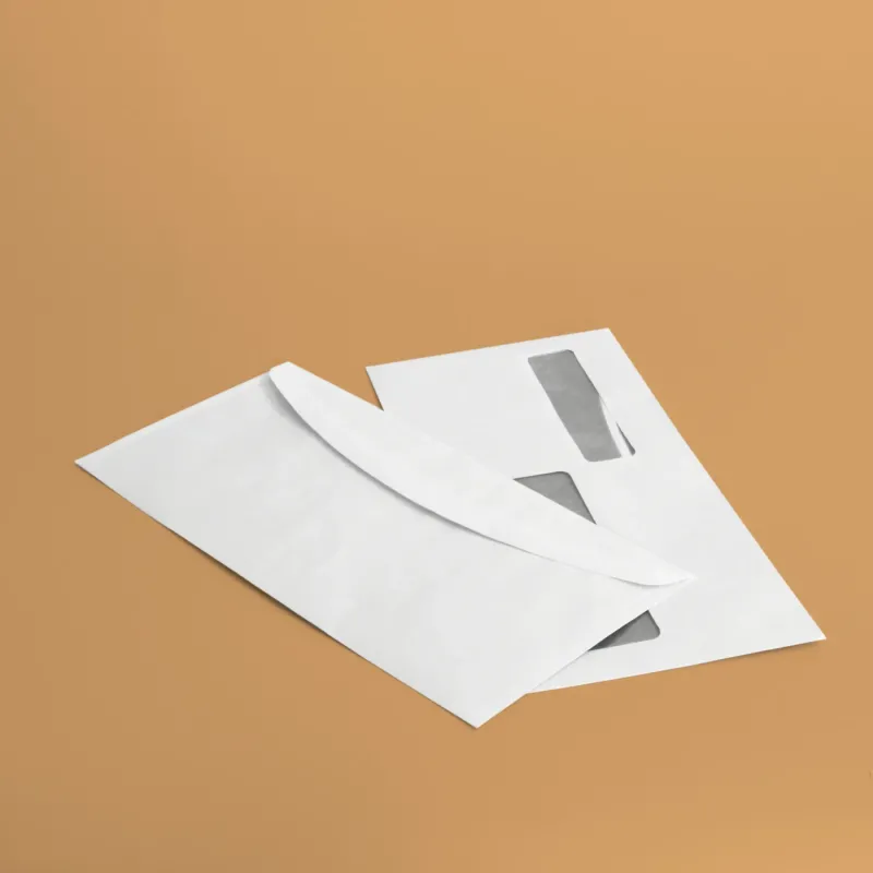 Buste doppia finestra 23x11,5 cm - bianco