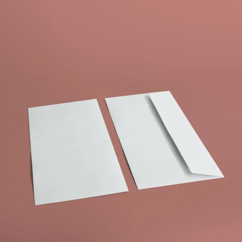 Buste commerciali 23x11 cm - bianco