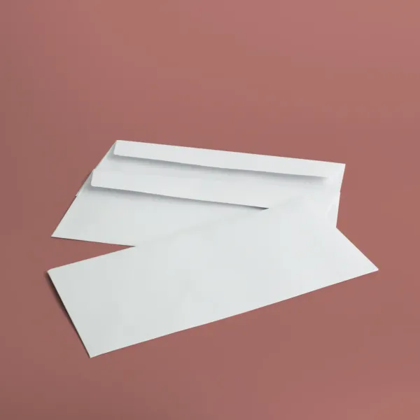 Buste commerciali 23x11 cm - bianco