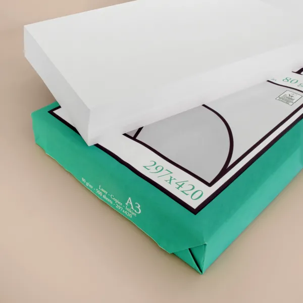 Risma carta A3 - 80 gr/mq
