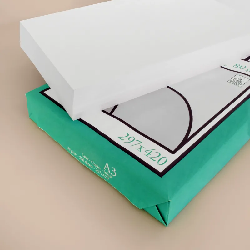 Risma carta A3 - 80 gr/mq