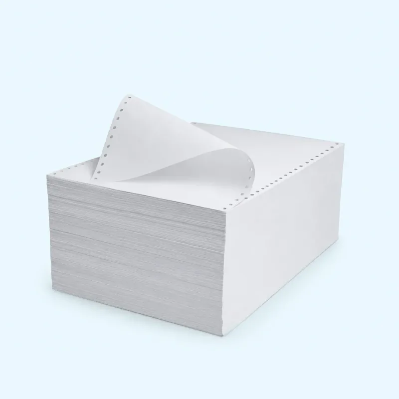 Carta modulo continuo - bianca 24x12" - 1 Foglio